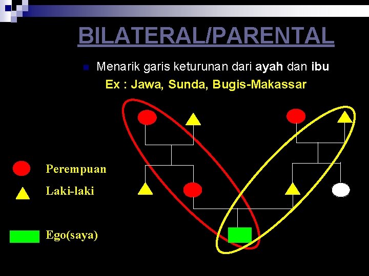 BILATERAL/PARENTAL n Menarik garis keturunan dari ayah dan ibu Ex : Jawa, Sunda, Bugis-Makassar