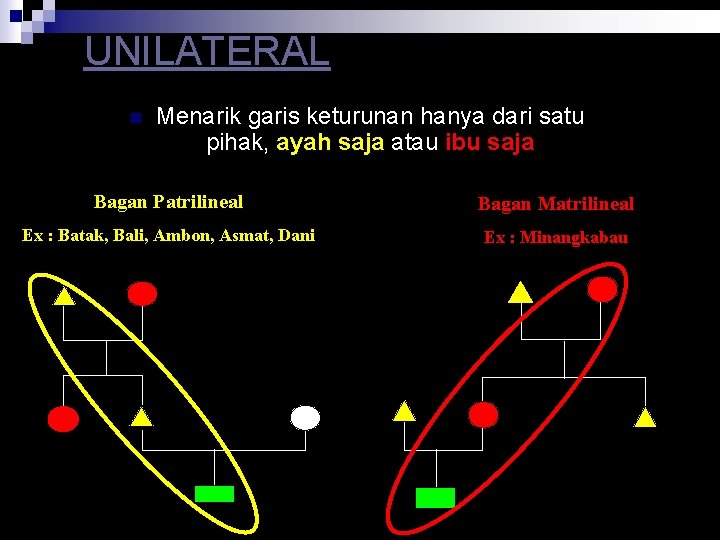 UNILATERAL n Menarik garis keturunan hanya dari satu pihak, ayah saja atau ibu saja