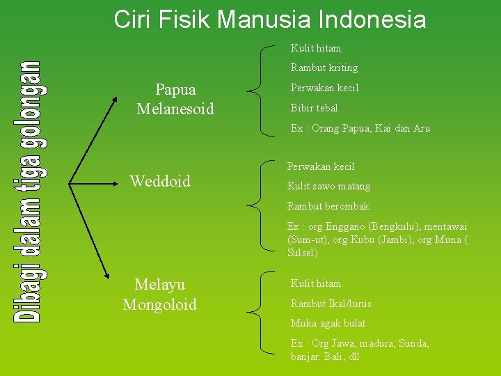 Ciri Fisik Manusia Indonesia Kulit hitam Rambut kriting Papua Melanesoid Perwakan kecil Bibir tebal