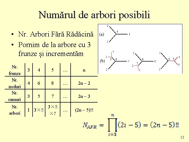 Numărul de arbori posibili • Nr. Arbori Fără Rădăcină • Pornim de la arbore