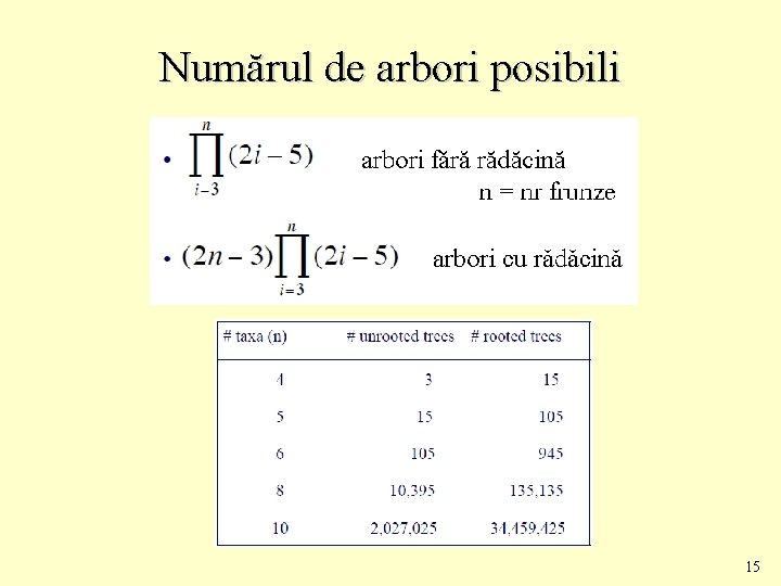 Numărul de arbori posibili 15 