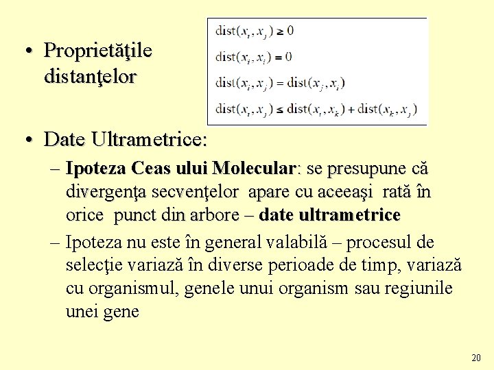  • Proprietăţile distanţelor • Date Ultrametrice: – Ipoteza Ceas ului Molecular: se presupune