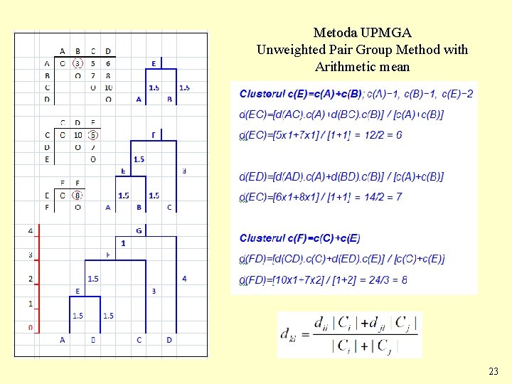 Metoda UPMGA Unweighted Pair Group Method with Arithmetic mean 23 