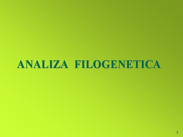 ANALIZA FILOGENETICA 5 