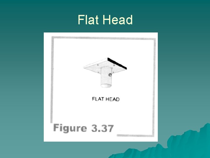 Flat Head 