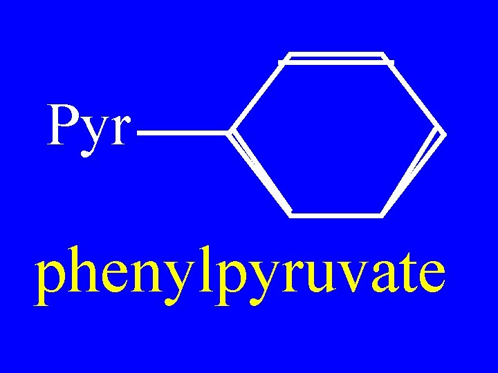 Pyr phenylpyruvate 