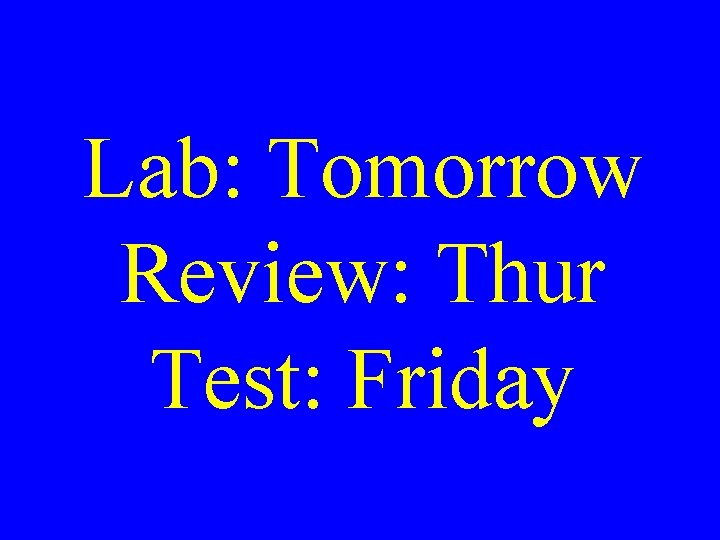 Lab: Tomorrow Review: Thur Test: Friday 