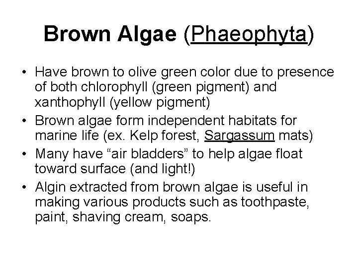 Brown Algae (Phaeophyta) • Have brown to olive green color due to presence of