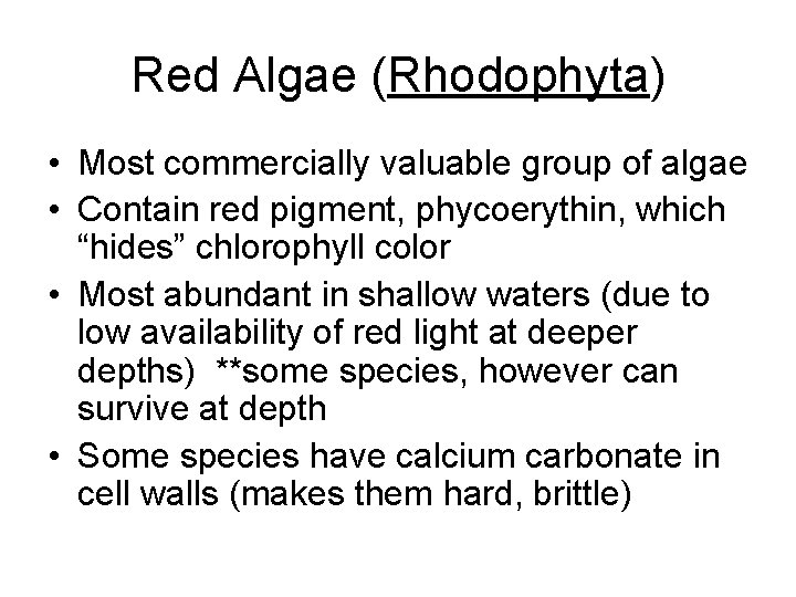 Red Algae (Rhodophyta) • Most commercially valuable group of algae • Contain red pigment,