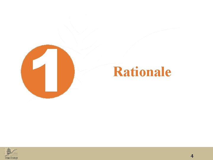 1 Rationale 4 1 Rationale 4