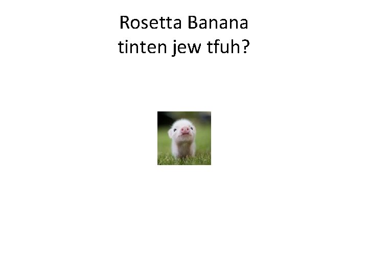 Rosetta Banana tinten jew tfuh? 