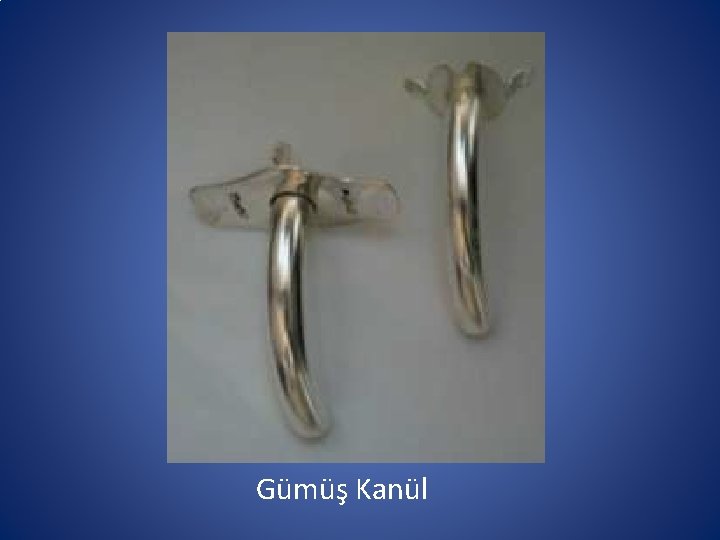 Gümüş Kanül Gümüş Kanül