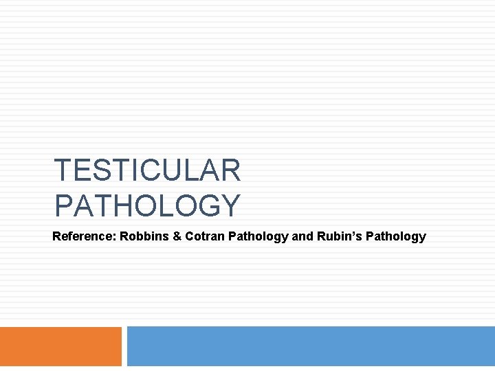 TESTICULAR PATHOLOGY Reference: Robbins & Cotran Pathology and Rubin’s Pathology 