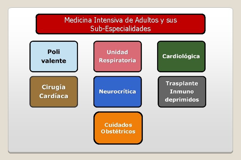 Medicina Intensiva de Adultos y sus Sub-Especialidades Cuidados Obstétricos 