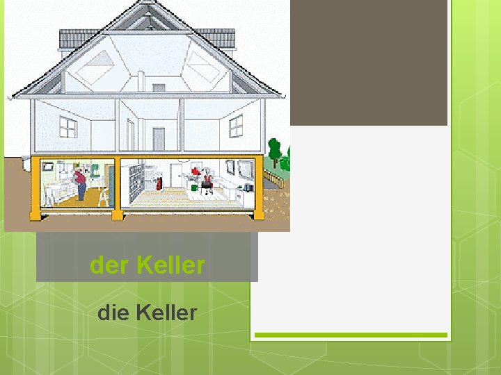 der Keller die Keller 