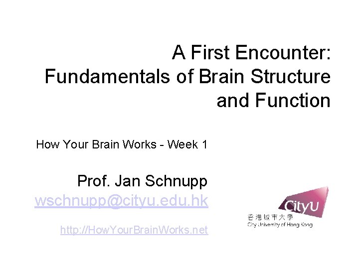 A First Encounter: Fundamentals of Brain Structure and Function How Your Brain Works -