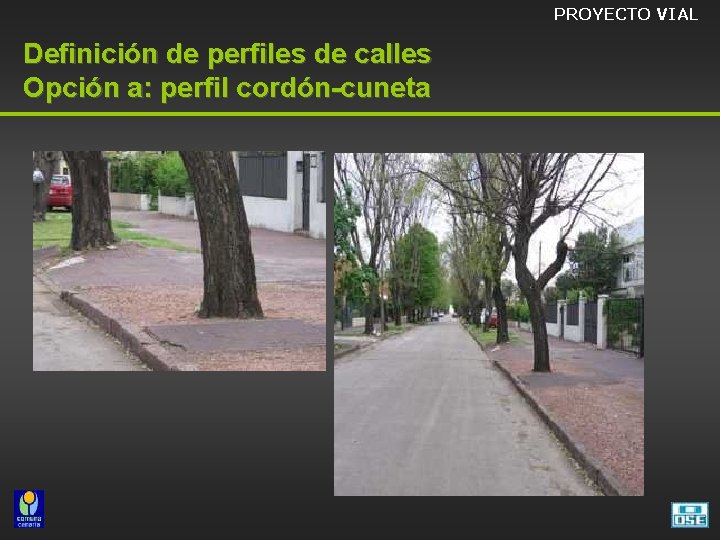 PROYECTO VIAL Definición de perfiles de calles Opción a: perfil cordón-cuneta 