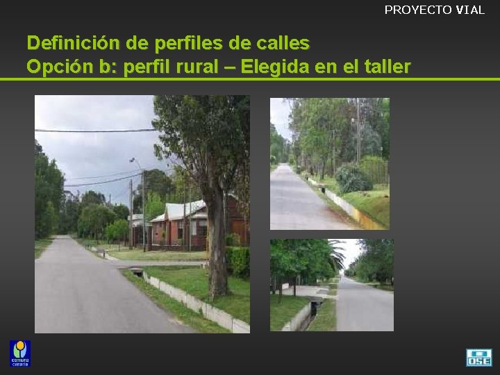 PROYECTO VIAL Definición de perfiles de calles Opción b: perfil rural – Elegida en