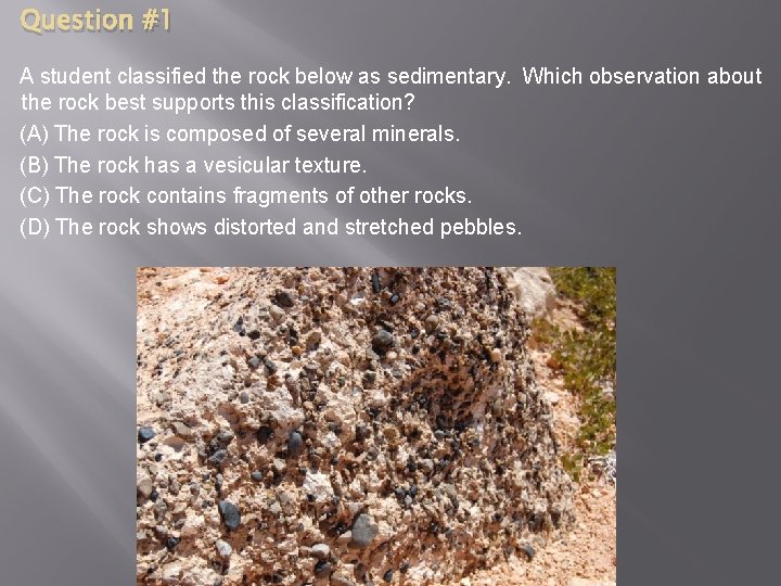 Question #1 A student classified the rock below as sedimentary. Which observation about the