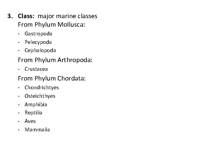 3. Class: major marine classes From Phylum Mollusca: - Gastropoda - Pelecypoda - Cephalopoda