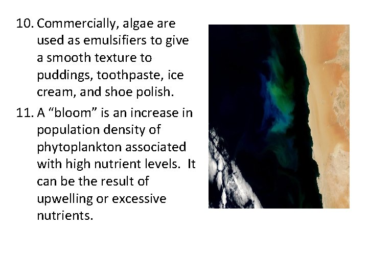 10. Commercially, algae are used as emulsifiers to give a smooth texture to puddings,