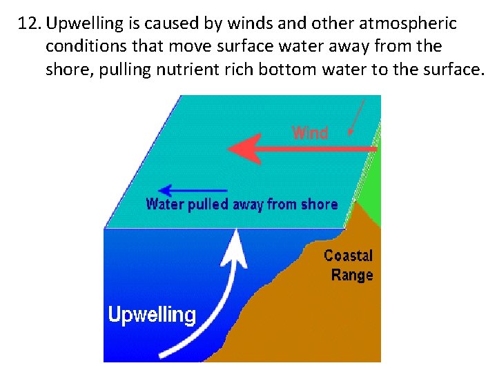 12. Upwelling is caused by winds and other atmospheric conditions that move surface water