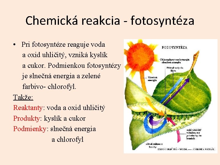 Chemická reakcia - fotosyntéza • Pri fotosyntéze reaguje voda a oxid uhličitý, vzniká kyslík