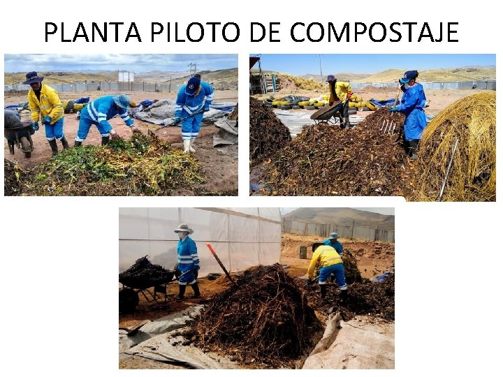 PLANTA PILOTO DE COMPOSTAJE PLANTA PILOTO DE COMPOSTAJE