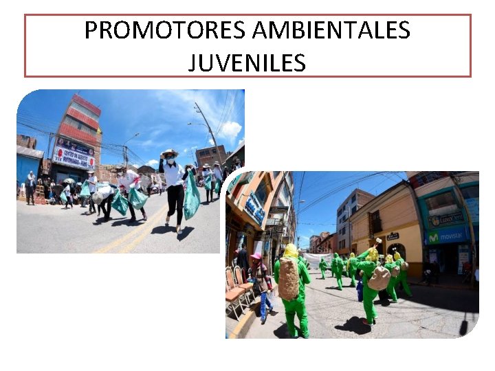 PROMOTORES AMBIENTALES JUVENILES PROMOTORES AMBIENTALES JUVENILES