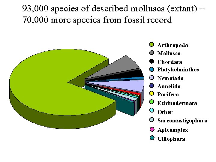 93, 000 species of described molluscs (extant) + 70, 000 more species from fossil