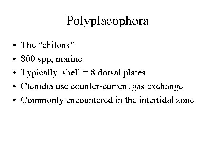 Polyplacophora • • • The “chitons” 800 spp, marine Typically, shell = 8 dorsal