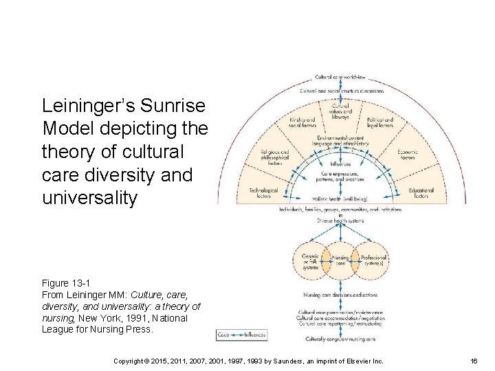 Leininger’s Sunrise Model depicting theory of cultural care diversity and universality Figure 13 -1