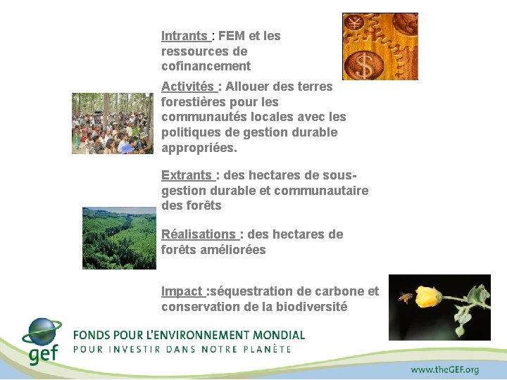 Intrants : FEM et les ressources de cofinancement Activités : Allouer des terres forestières