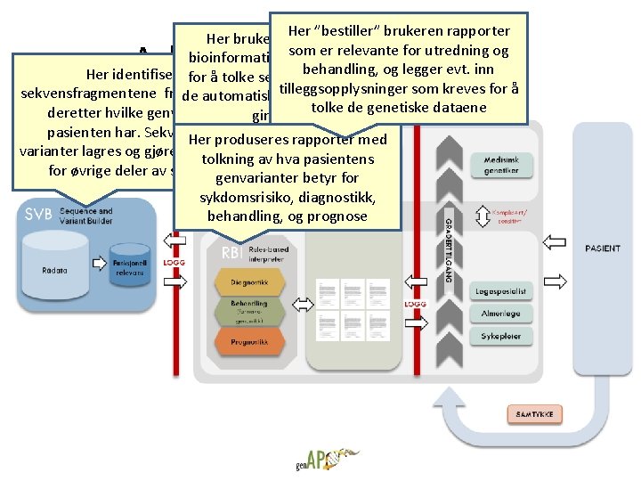 Her ”bestiller” Her bruker genetikere og brukeren rapporter som er relevante bioinformatikere egne verktøy