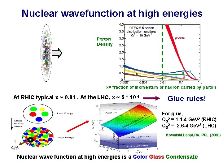 Nuclear wavefunction at high energies Parton Density x= fraction of momentum of hadron carried