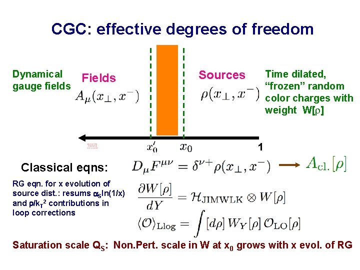 CGC: effective degrees of freedom Dynamical gauge fields Fields Sources Time dilated, “frozen” random