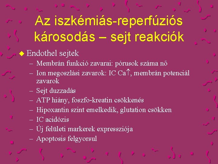 Az iszkémiás-reperfúziós károsodás – sejt reakciók u Endothel sejtek – Membrán funkció zavarai: pórusok