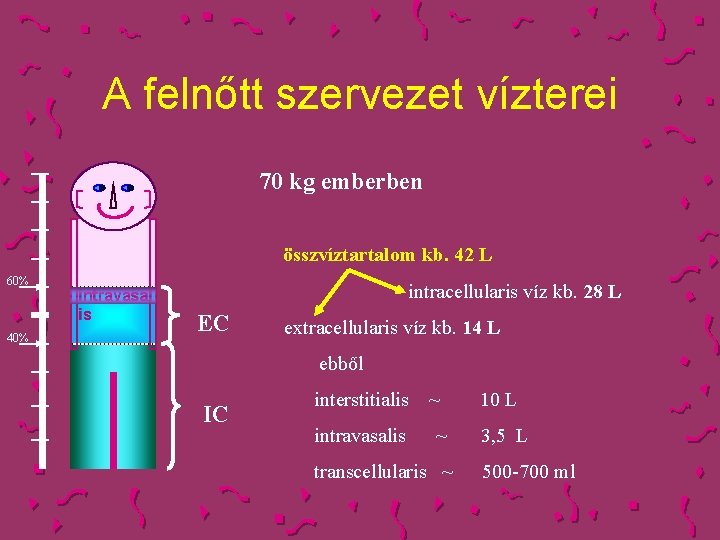 A felnőtt szervezet vízterei 70 kg emberben összvíztartalom kb. 42 L 60% 40% intravasal