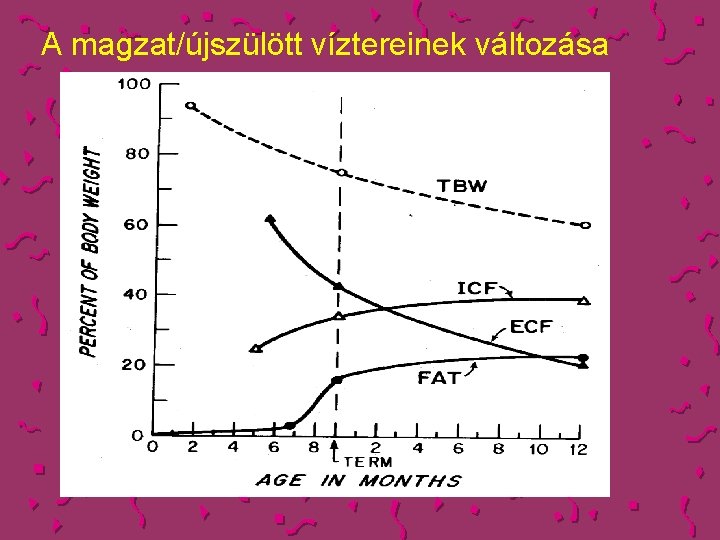 A magzat/újszülött víztereinek változása 