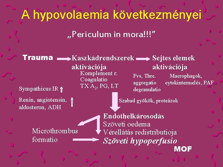 A hypovolaemia következményei „Periculum in mora!!!” Trauma Kaszkádrendszerek aktivációja Sympathicus IR Renin, angiotensin, aldosteron,