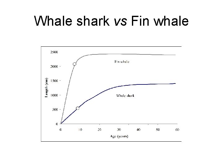 Whale shark vs Fin whale Whale shark vs Fin whale