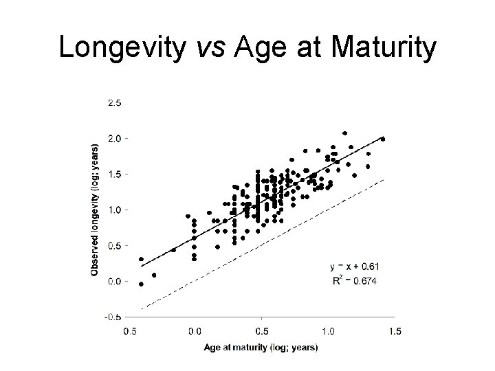 Longevity vs Age at Maturity 