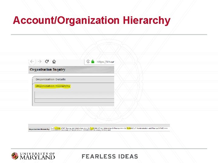 Account/Organization Hierarchy 