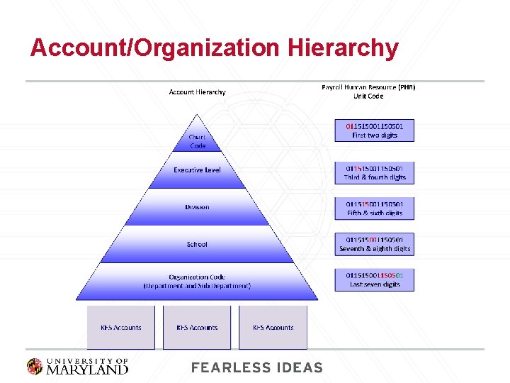 Account/Organization Hierarchy 
