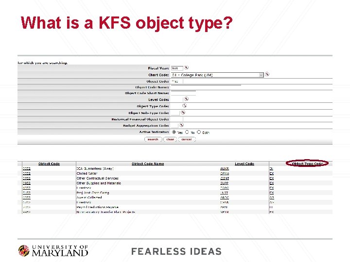 What is a KFS object type? 