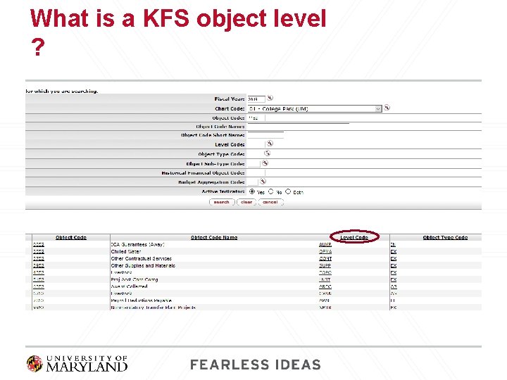 What is a KFS object level ? 