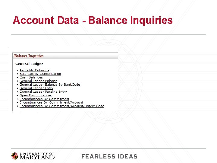 Account Data - Balance Inquiries 
