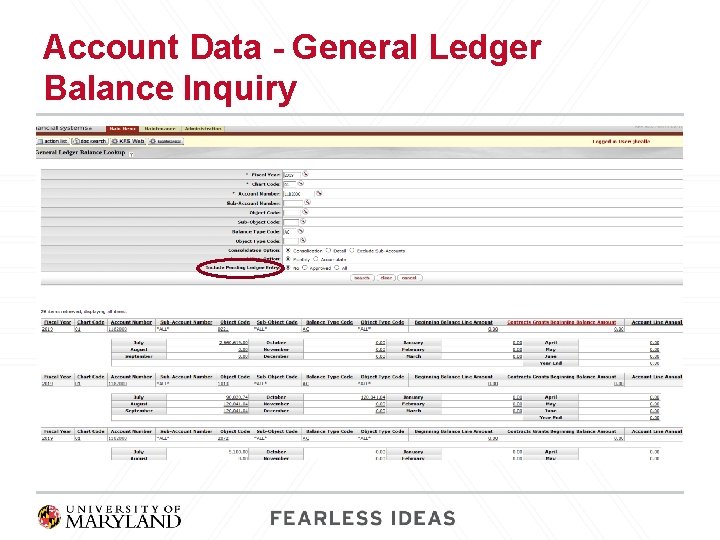 Account Data - General Ledger Balance Inquiry 