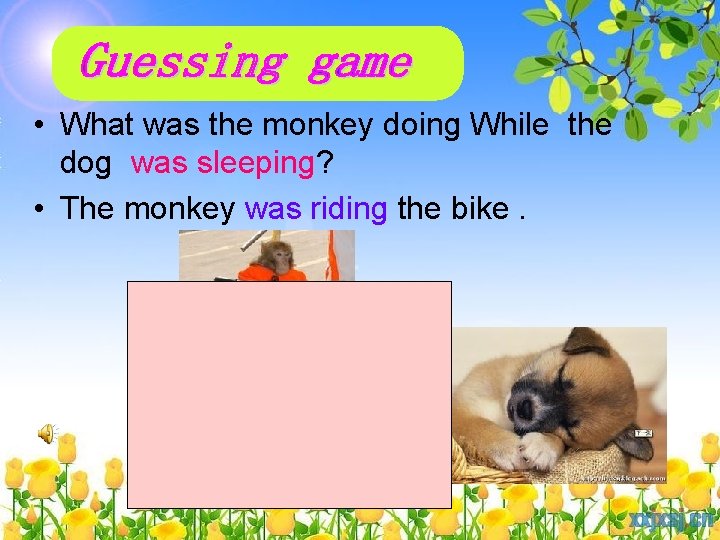  • What was the monkey doing While the dog was sleeping? • The