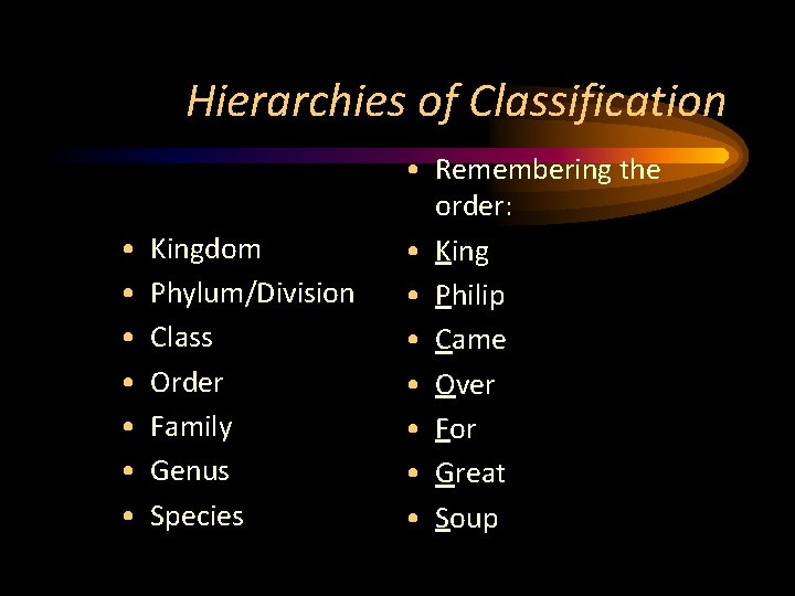 Hierarchies of Classification • • Kingdom Phylum/Division Class Order Family Genus Species • Remembering